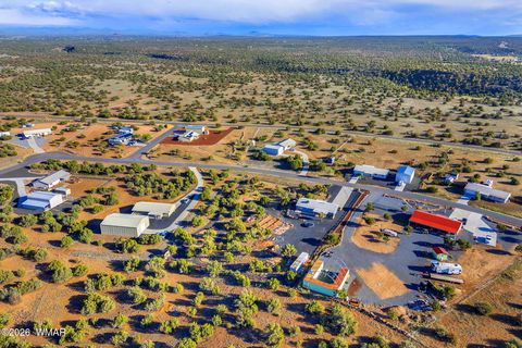 Tiny photo for 2596 Elk Run Loop, Show Low, AZ 85901 (MLS # 260624)