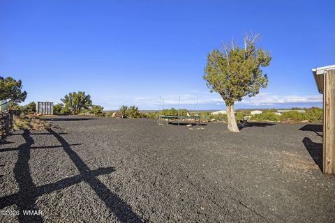 Tiny photo for 2596 Elk Run Loop, Show Low, AZ 85901 (MLS # 260624)