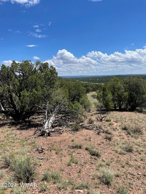 Tiny photo for 6565 Natures Way, Burton, AZ 85934 (MLS # 251395)