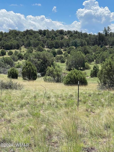 Tiny photo for 6565 Natures Way, Burton, AZ 85934 (MLS # 251395)