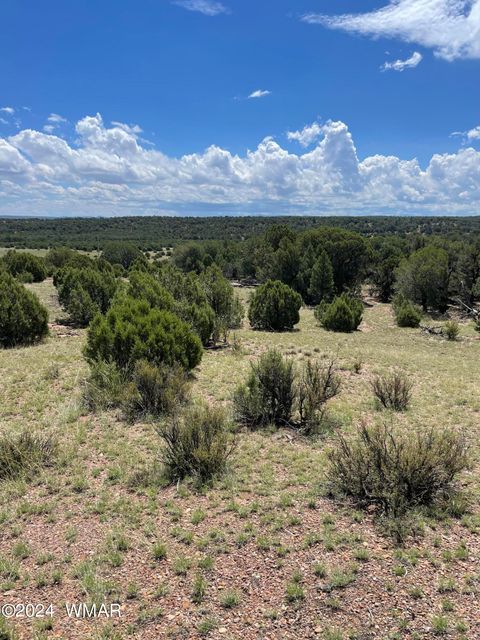 Tiny photo for 6565 Natures Way, Burton, AZ 85934 (MLS # 251395)