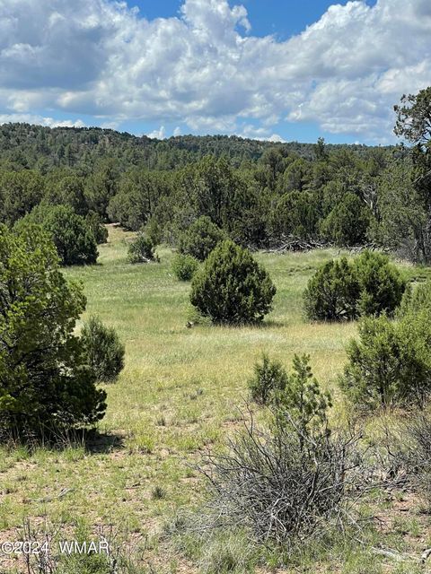 Tiny photo for 6565 Natures Way, Burton, AZ 85934 (MLS # 251395)
