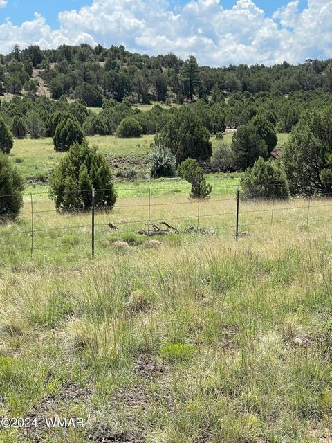 Tiny photo for 6565 Natures Way, Burton, AZ 85934 (MLS # 251395)