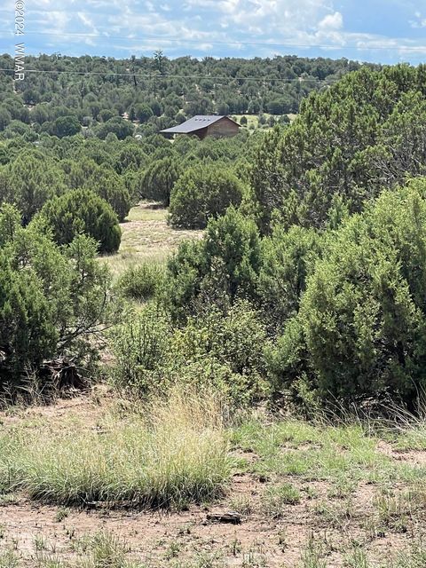 Photo of 6565 Natures Way, Burton, AZ 85934 (MLS # 251395)