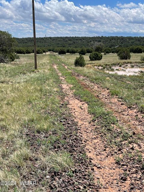 Tiny photo for 6565 Natures Way, Burton, AZ 85934 (MLS # 251395)