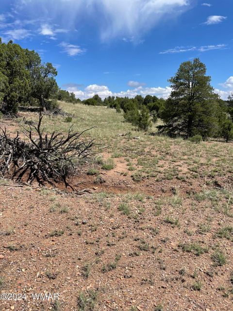 Tiny photo for 6565 Natures Way, Burton, AZ 85934 (MLS # 251395)