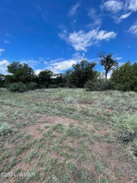 Tiny photo for 6565 Natures Way, Burton, AZ 85934 (MLS # 251395)