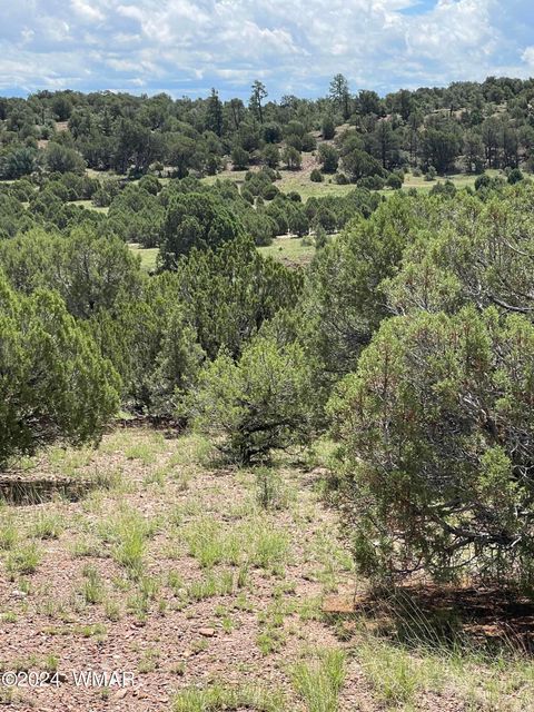 Tiny photo for 6565 Natures Way, Burton, AZ 85934 (MLS # 251395)