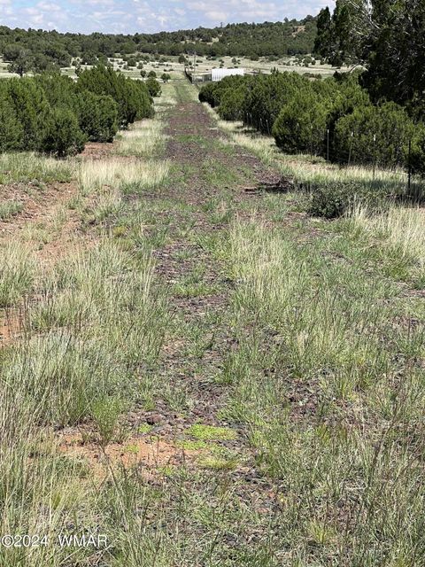 Tiny photo for 6565 Natures Way, Burton, AZ 85934 (MLS # 251395)