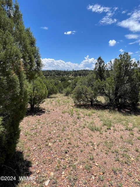 Tiny photo for 6565 Natures Way, Burton, AZ 85934 (MLS # 251395)
