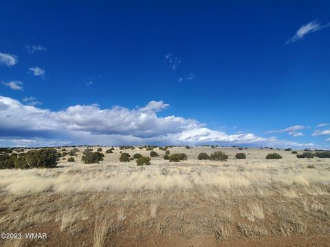 Tiny photo for 8 County Road 5203, Concho, AZ 85924 (MLS # 258048)