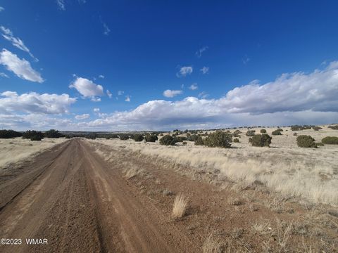 Tiny photo for 8 County Road 5203, Concho, AZ 85924 (MLS # 258048)