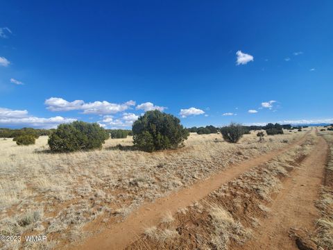 Photo of 8 County Road 5203, Concho, AZ 85924 (MLS # 258048)