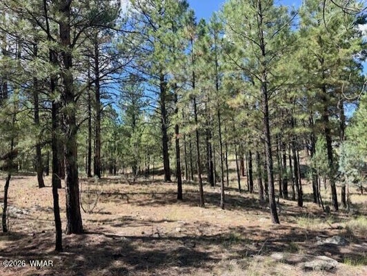 5177 STARLIGHT DR, HAPPY JACK, AZ 86024 - Image ce832c6848f6f7fc6ea309ddc4e2ac86/244220986