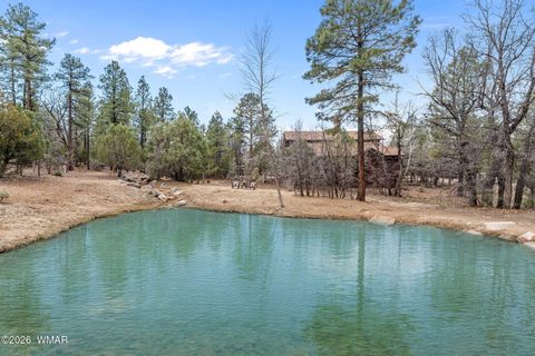 Tiny photo for 4651 W White Oak Lane, Show Low, AZ 85901 (MLS # 259894)