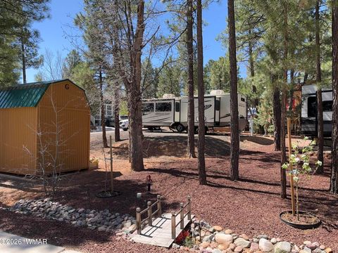Photo of 3650 S Latigo Way, Show Low, AZ 85901 (MLS # 260111)
