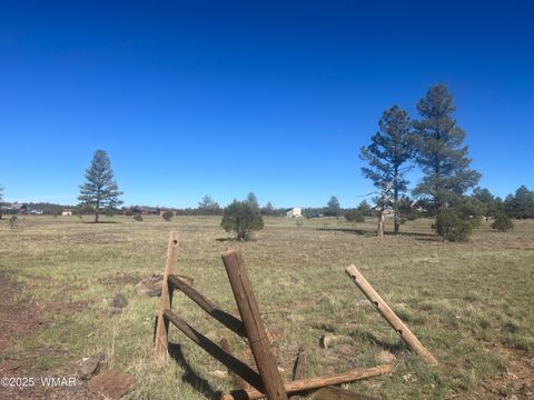 Photo of TBD Dynamite, Lakeside, AZ 85929 (MLS # 258589)