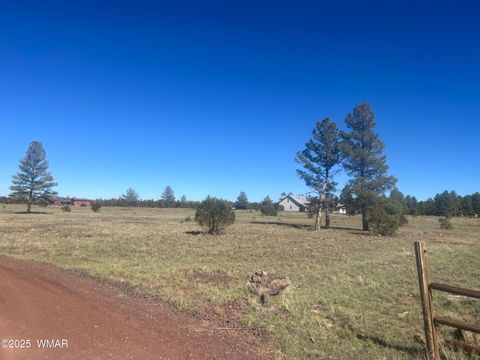 Tiny photo for TBD Dynamite, Lakeside, AZ 85929 (MLS # 258589)