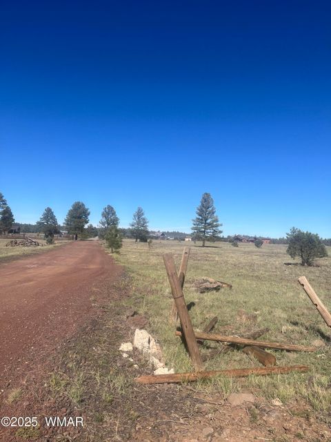 Tiny photo for TBD Dynamite, Lakeside, AZ 85929 (MLS # 258589)