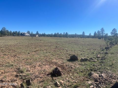 Tiny photo for TBD Dynamite, Lakeside, AZ 85929 (MLS # 258589)