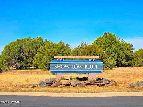 Tiny photo for 2280 E Rock Garden Lane, Show Low, AZ 85901 (MLS # 261017)