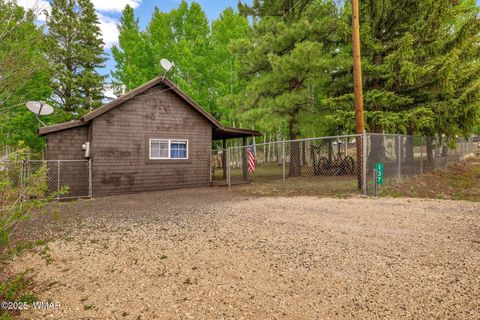 Tiny photo for 137 1120, Greer, AZ 85927 (MLS # 256479)
