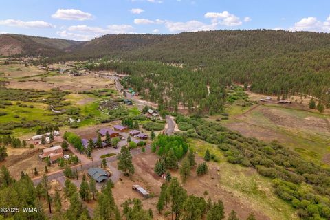 Tiny photo for 137 1120, Greer, AZ 85927 (MLS # 256479)