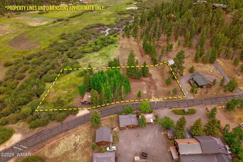 Tiny photo for 137 1120, Greer, AZ 85927 (MLS # 256479)