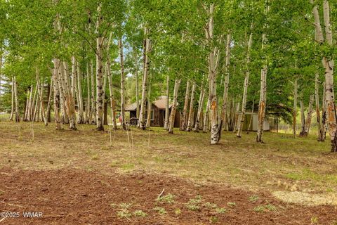 Tiny photo for 137 1120, Greer, AZ 85927 (MLS # 256479)