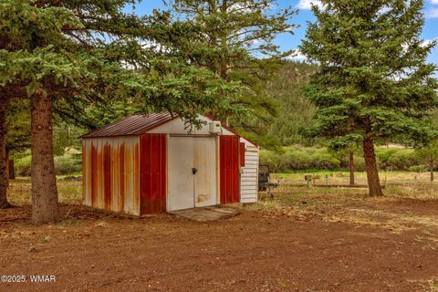 Tiny photo for 137 1120, Greer, AZ 85927 (MLS # 256479)