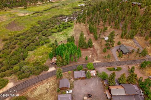 Tiny photo for 137 1120, Greer, AZ 85927 (MLS # 256479)
