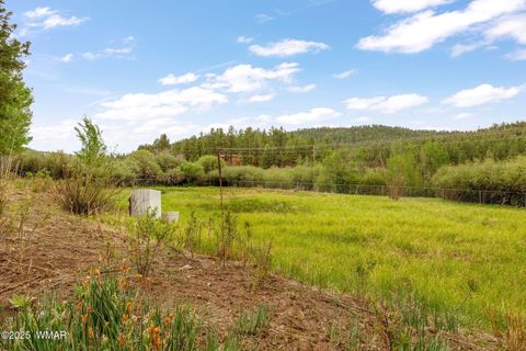Tiny photo for 137 1120, Greer, AZ 85927 (MLS # 256479)