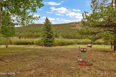 Tiny photo for 137 1120, Greer, AZ 85927 (MLS # 256479)