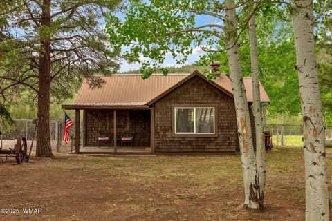 Tiny photo for 137 1120, Greer, AZ 85927 (MLS # 256479)