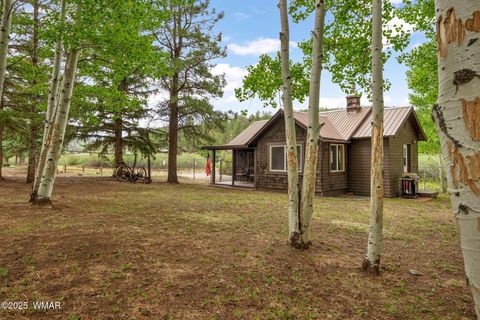 Tiny photo for 137 1120, Greer, AZ 85927 (MLS # 256479)