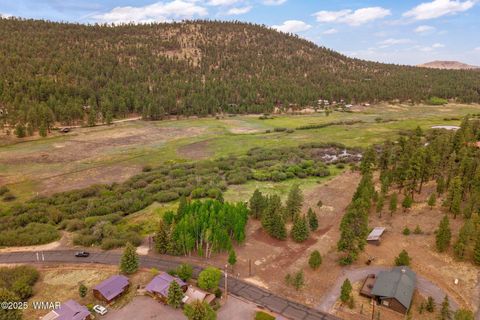 Tiny photo for 137 1120, Greer, AZ 85927 (MLS # 256479)