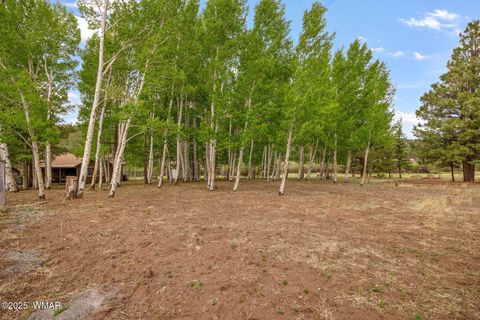 Tiny photo for 137 1120, Greer, AZ 85927 (MLS # 256479)