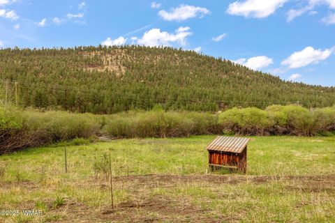 Tiny photo for 137 1120, Greer, AZ 85927 (MLS # 256479)