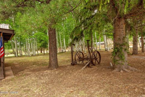 Tiny photo for 137 1120, Greer, AZ 85927 (MLS # 256479)