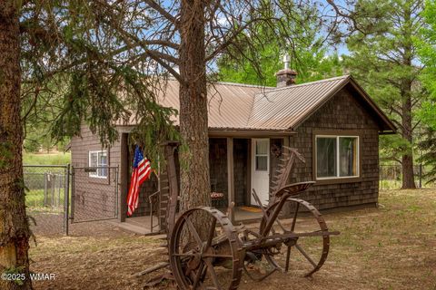 Photo of 137 1120, Greer, AZ 85927 (MLS # 256479)