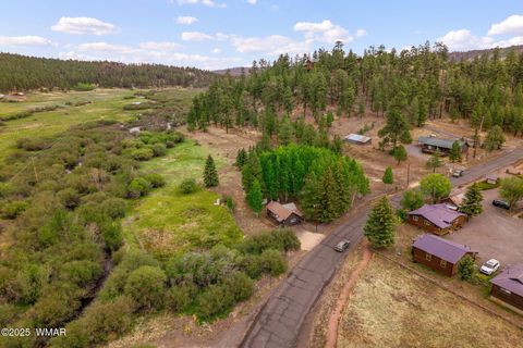 Tiny photo for 137 1120, Greer, AZ 85927 (MLS # 256479)