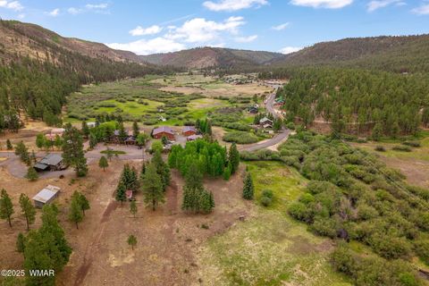 Tiny photo for 137 1120, Greer, AZ 85927 (MLS # 256479)