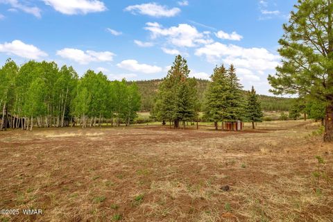 Tiny photo for 137 1120, Greer, AZ 85927 (MLS # 256479)
