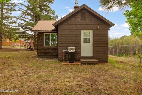 Tiny photo for 137 1120, Greer, AZ 85927 (MLS # 256479)