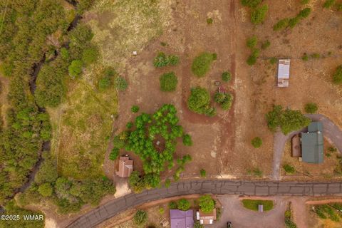 Tiny photo for 137 1120, Greer, AZ 85927 (MLS # 256479)
