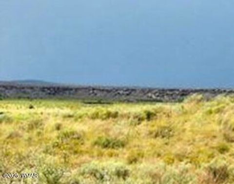 Photo of tbd Bell Brand Ranches Lot 29, Sanders, AZ 86512 (MLS # 258517)