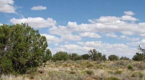 Photo of TBD Chevelon Canyon Ranch lot 363, Heber, AZ 85928 (MLS # 257002)