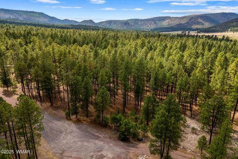 Tiny photo for TBD CR2325, Alpine, AZ 85920 (MLS # 256739)