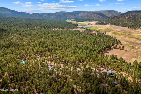 Tiny photo for TBD CR2325, Alpine, AZ 85920 (MLS # 256739)