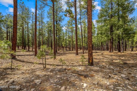 Tiny photo for TBD CR2325, Alpine, AZ 85920 (MLS # 256739)